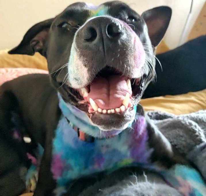 Photo of DELILAH