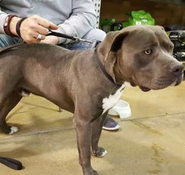 Photo of Blu