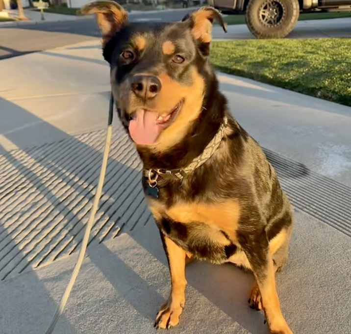 Photo of Chloe