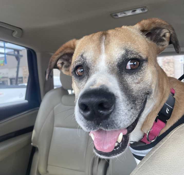 Photo of Maverick