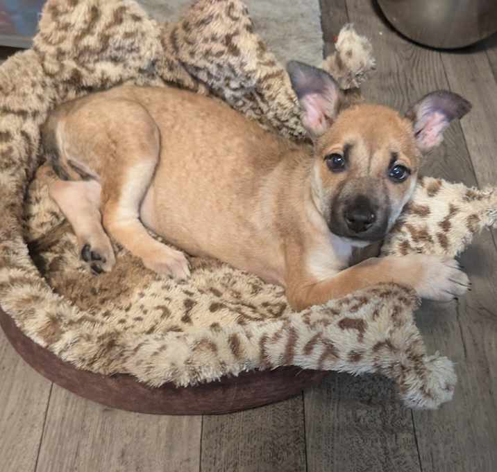Photo of Roxy