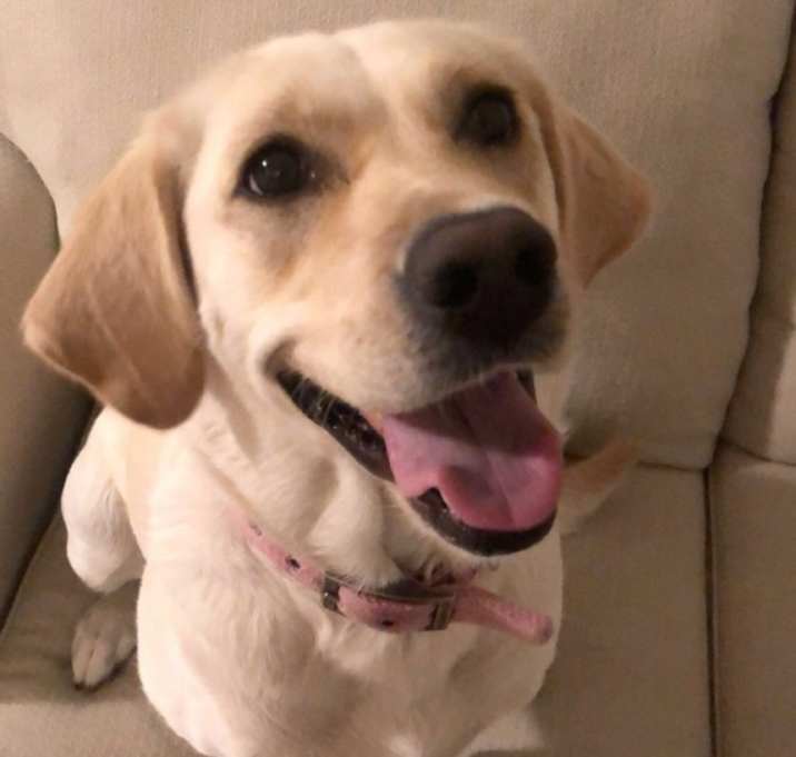 Photo of Nala