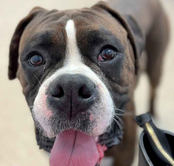 Photo of Jäger