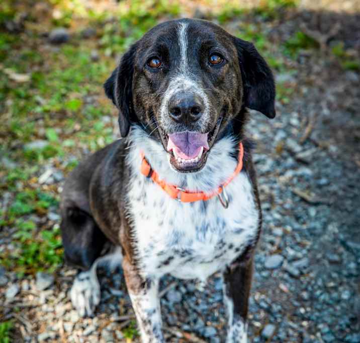 Photo of DOTTIE MINERVA