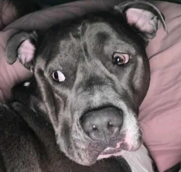 Photo of Zeke