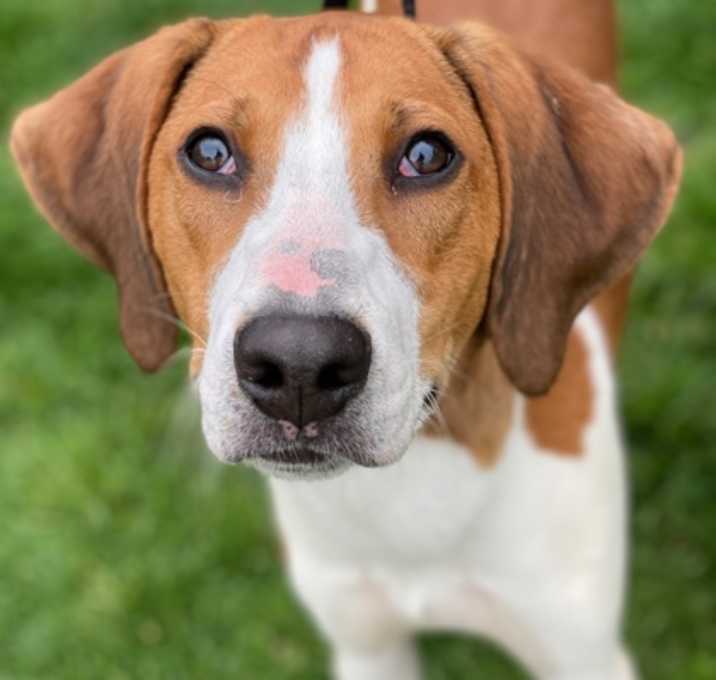 Photo of Todd