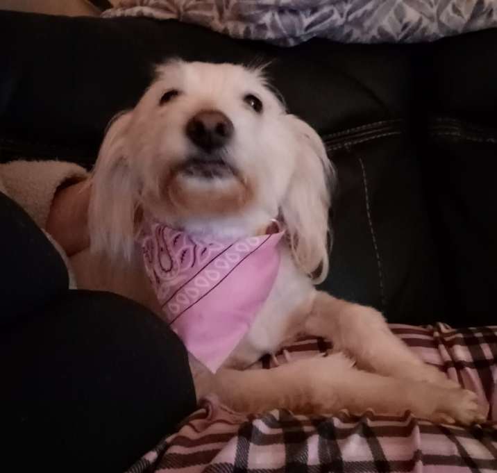 Photo of Aspen