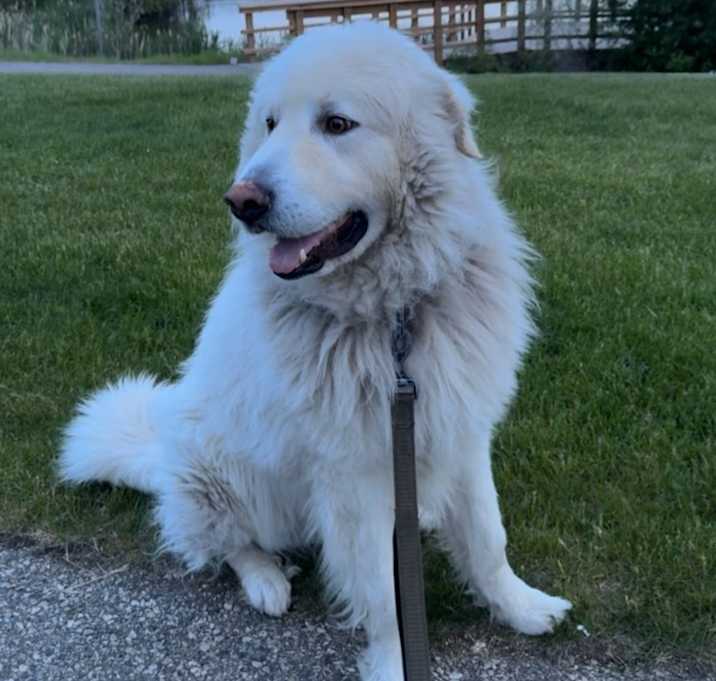 Photo of Kilo