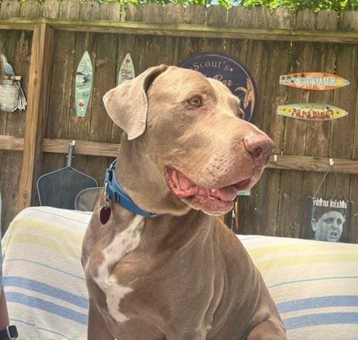 Photo of Tater