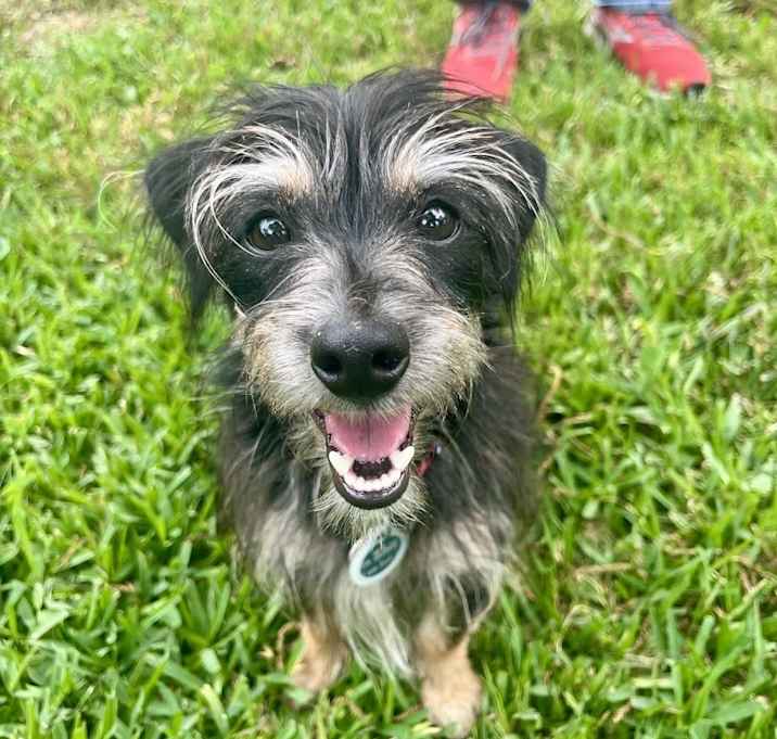 Photo of Enzo