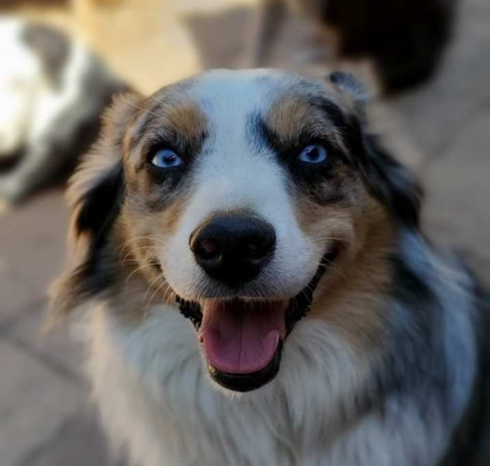 Photo of Emma