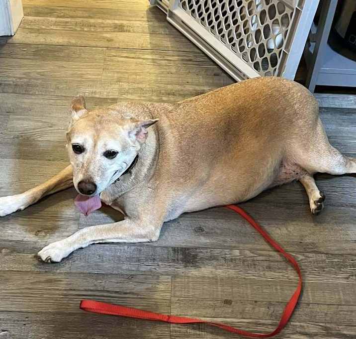 Photo of Lottie Pop