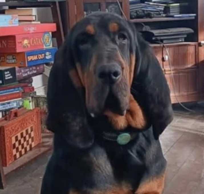 Photo of Ready To Roll Rufus