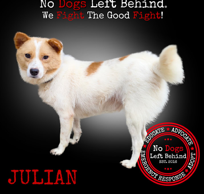 Photo of Julian 7778