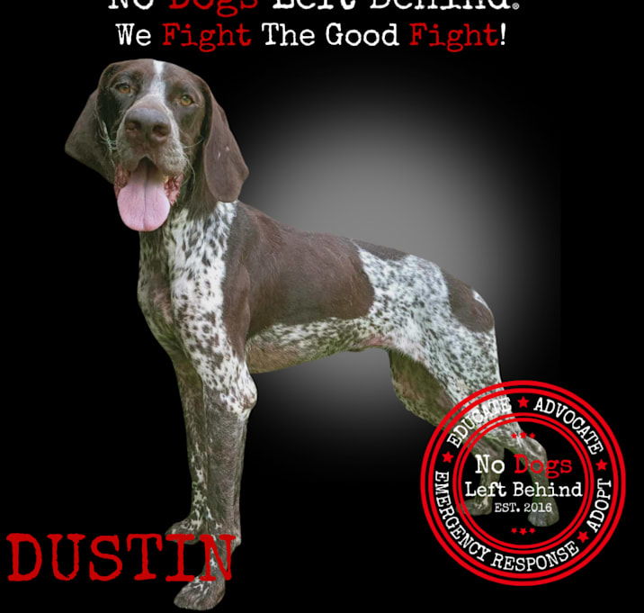Photo of Dustin8339