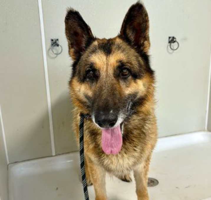 Photo of Zeus