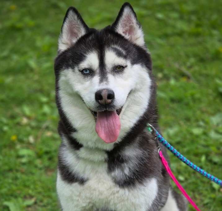 Photo of Lila