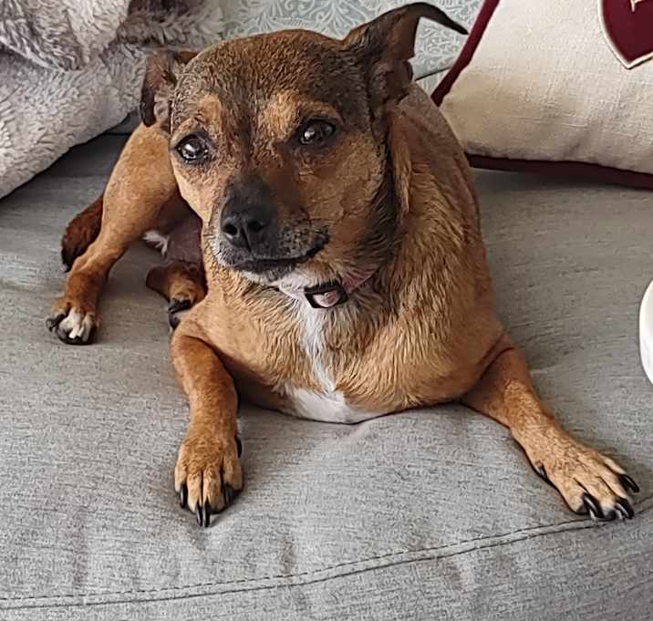 Photo of Tasha