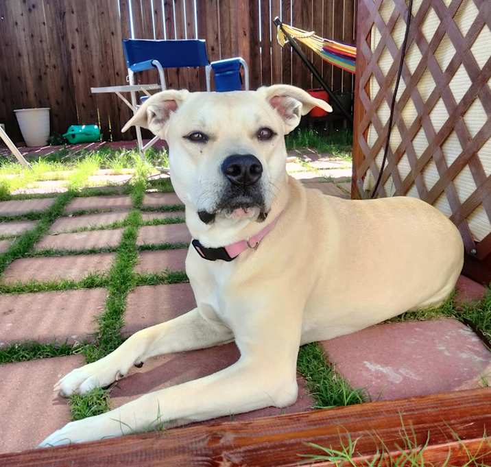 Photo of Jessie