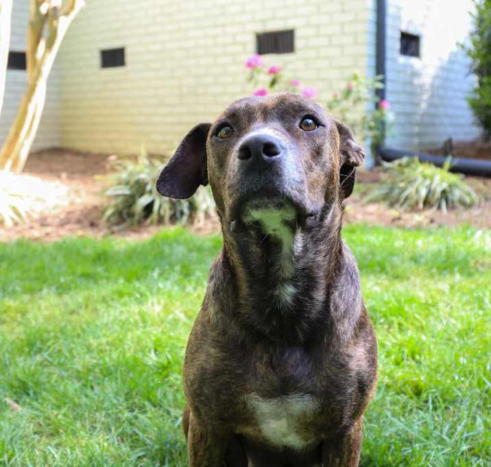 Photo of Lucy