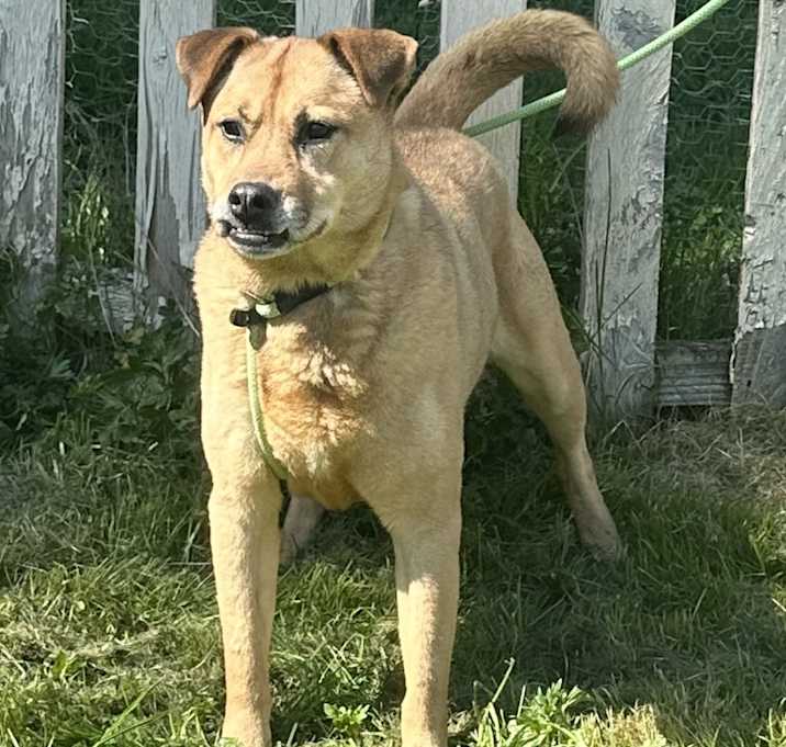Photo of Sandy