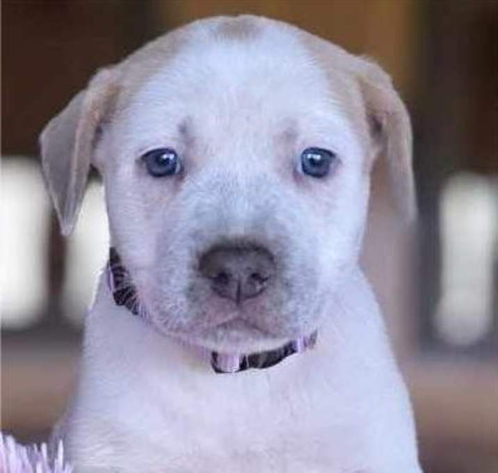 Photo of Namaste