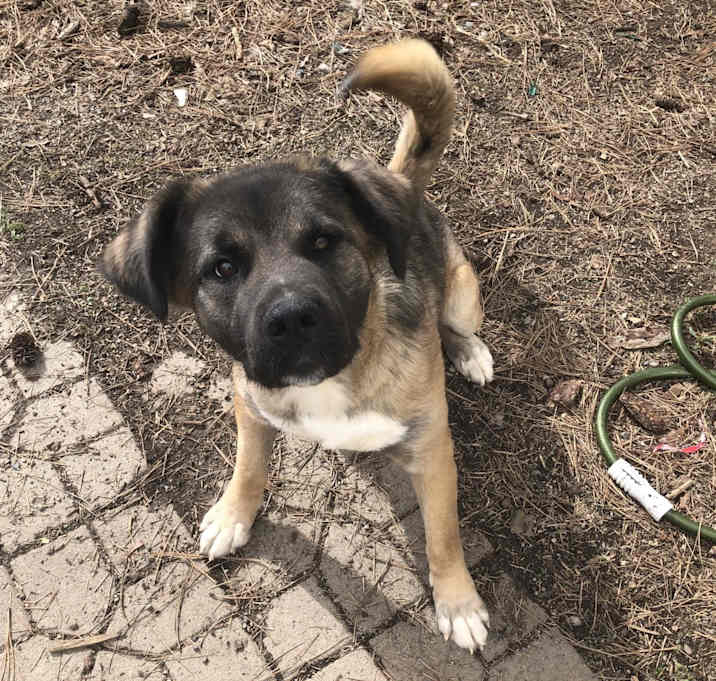 Photo of Kita