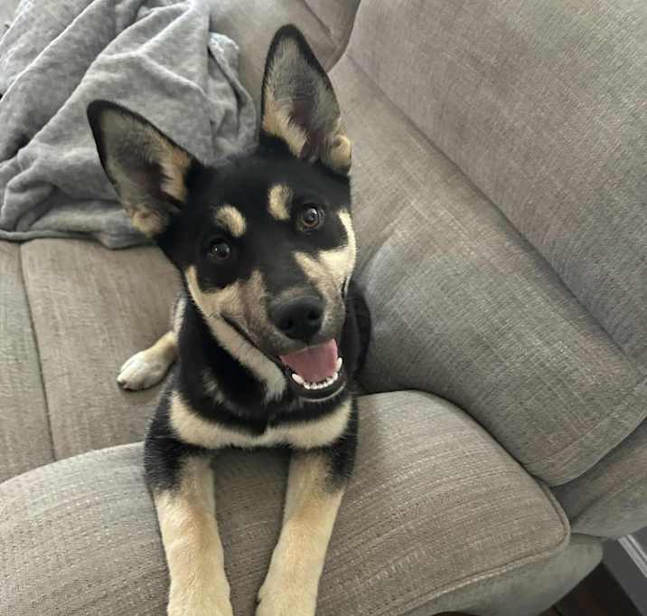 Photo of Akira