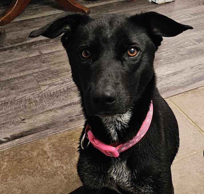 Photo of Skyla