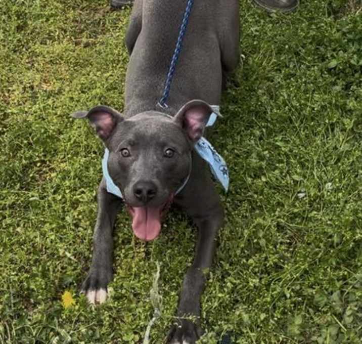Photo of SMOKEY