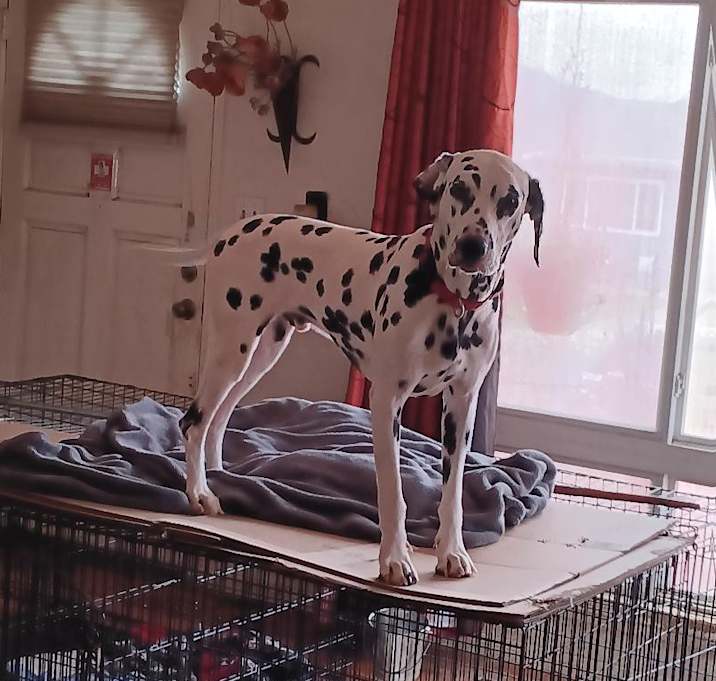 Photo of Zeus