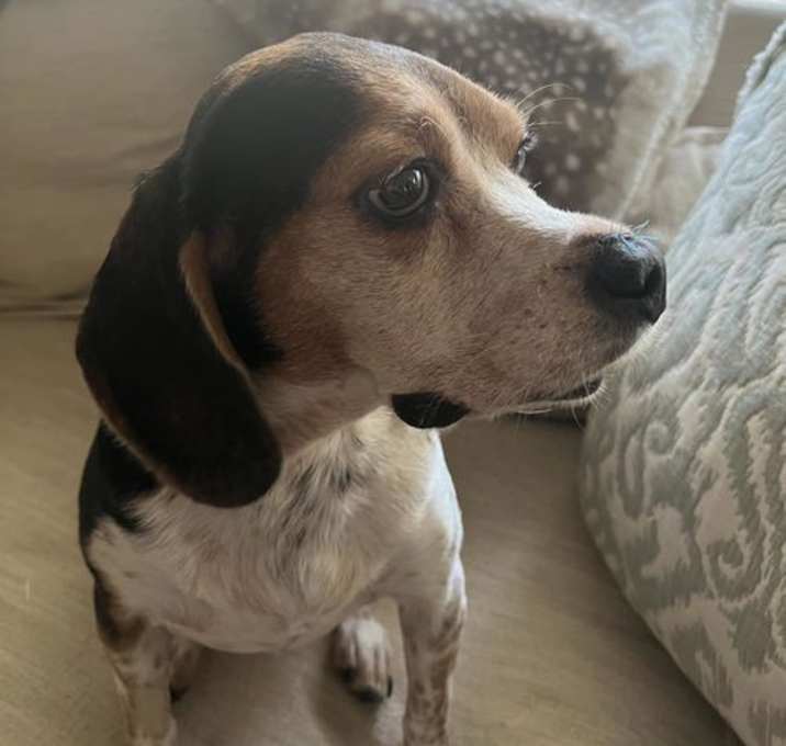 Photo of Lucy Loo