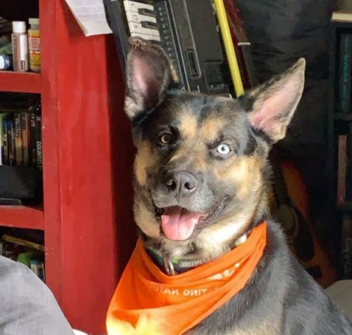 Photo of Percy