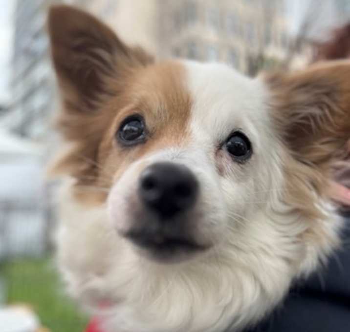 Photo of LuLu