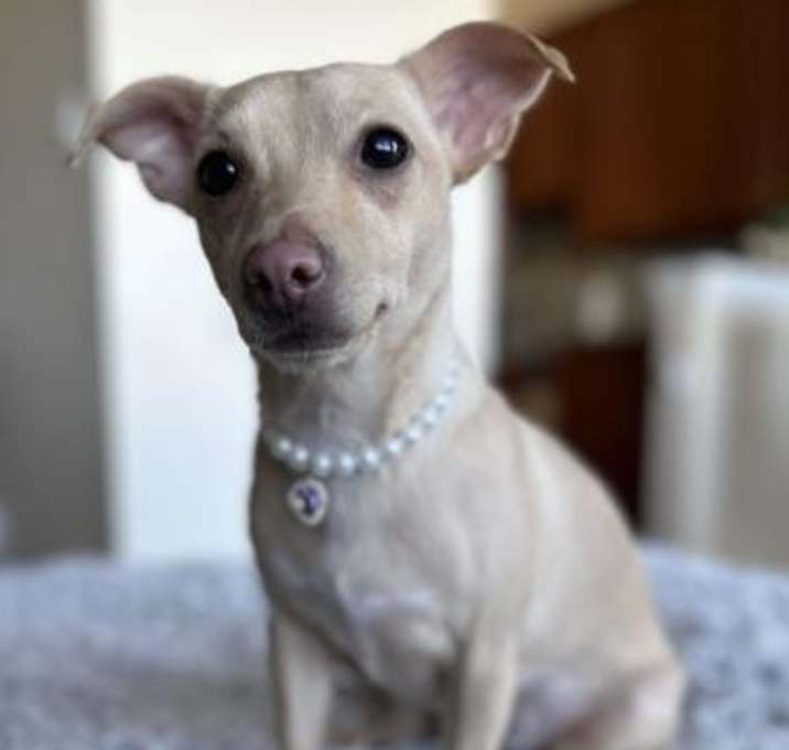 Photo of Ainsley