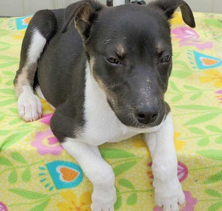 Photo of Xena