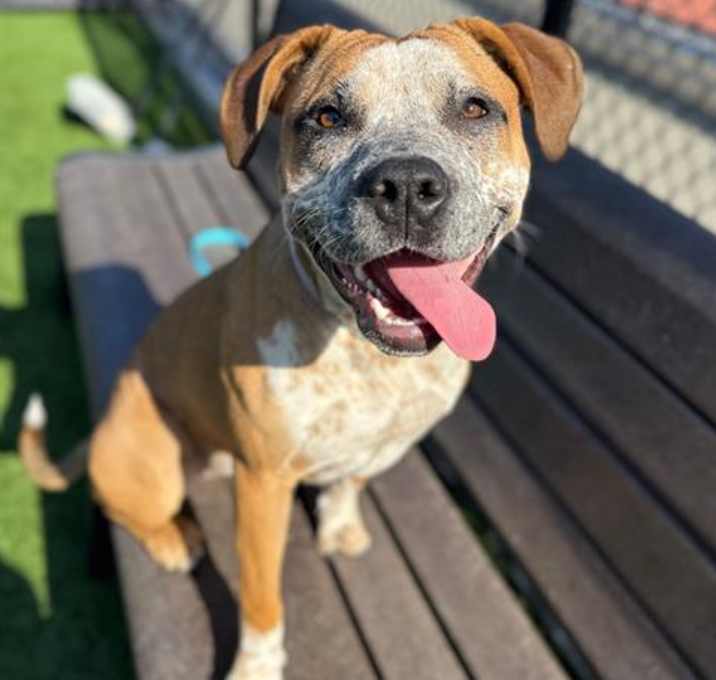 Photo of PARKER