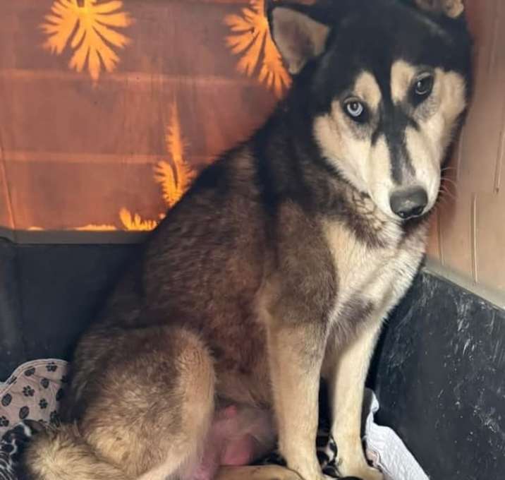 Photo of Bonnie