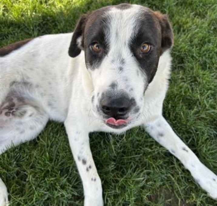 Photo of *WYATT