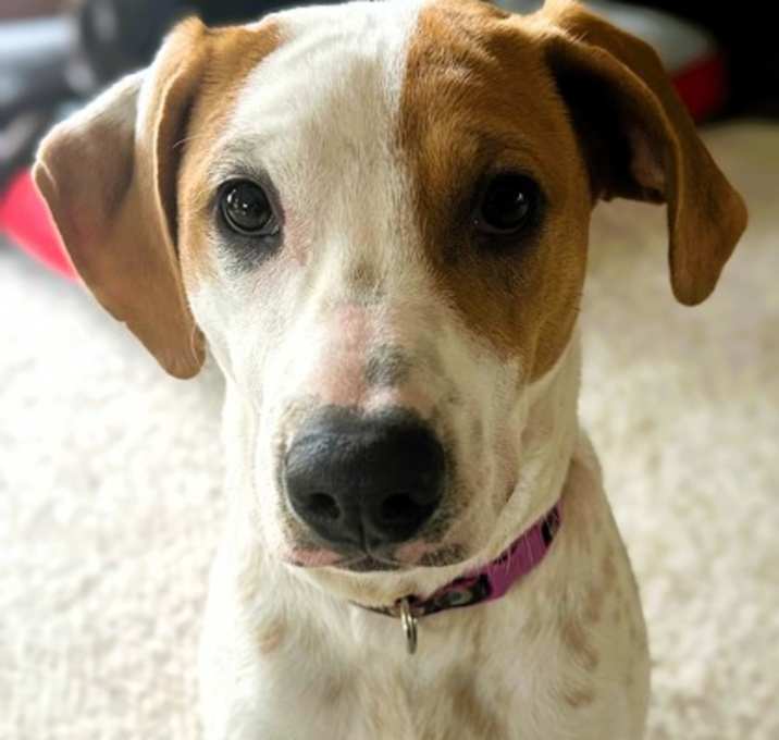 Photo of Margo