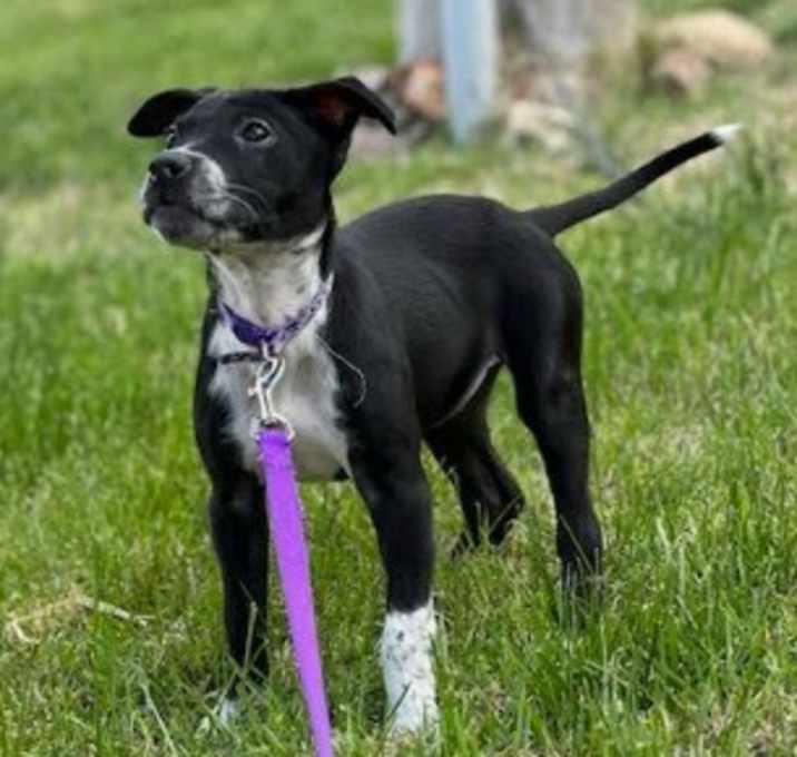 Photo of Stormie