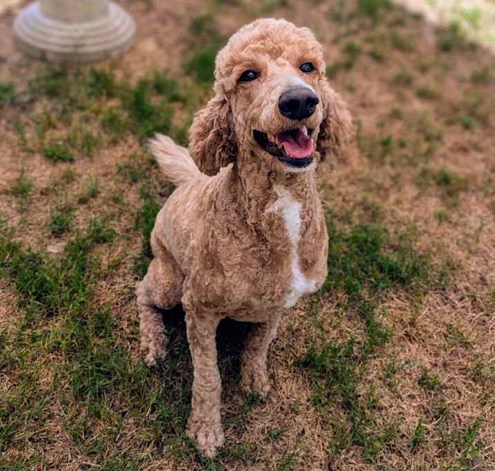 Photo of Molly Attaway