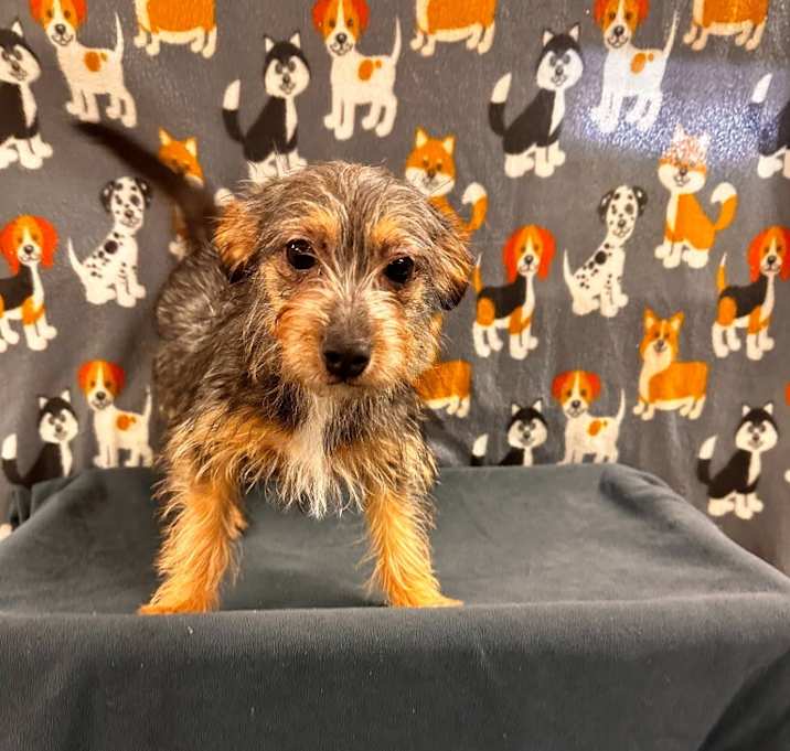 Photo of Hazel