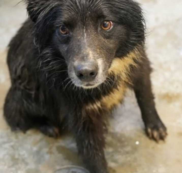 Photo of Juliet