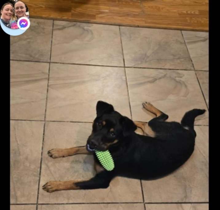 Photo of Chase