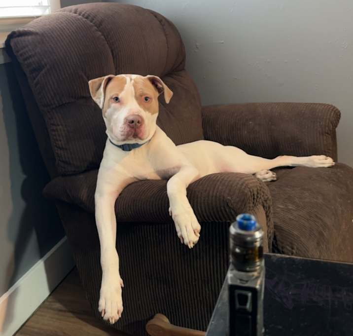 Photo of Blue