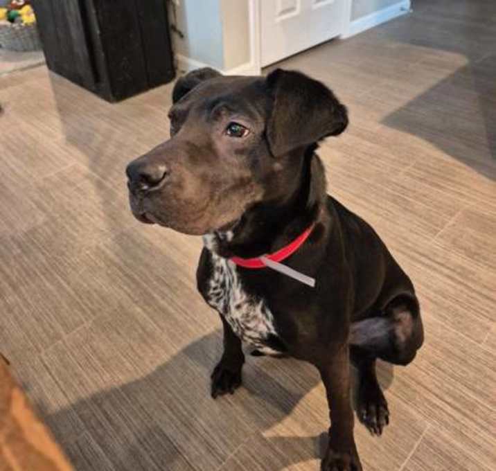 Photo of Duke