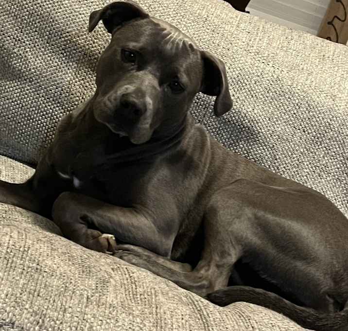Photo of Gia