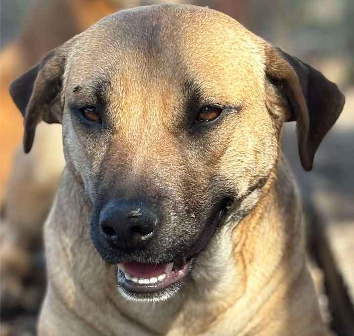 Photo of Sunshine