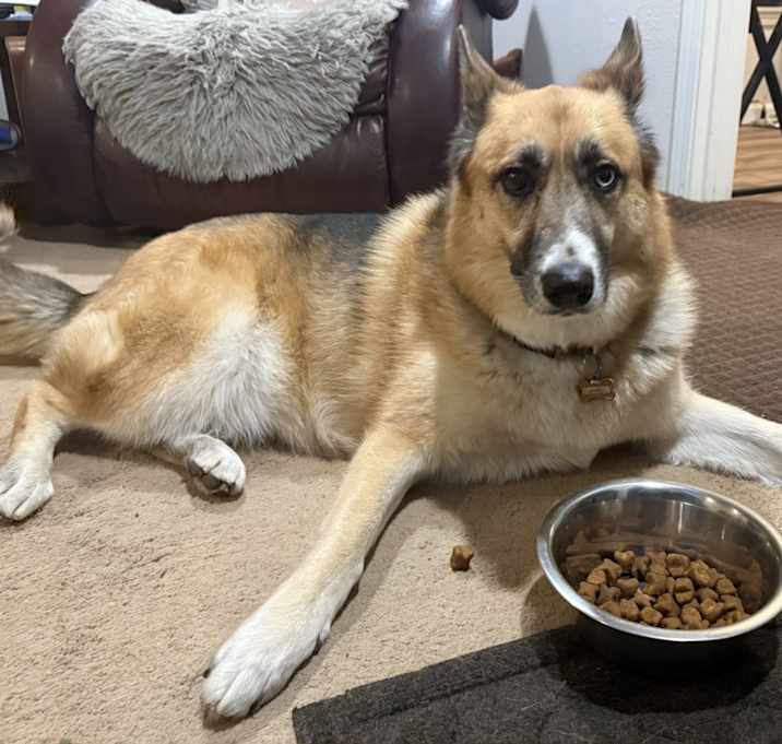 Photo of Baylee